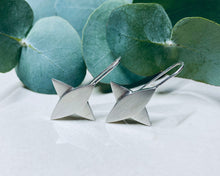 Load image into Gallery viewer, Star Crossed Earrings